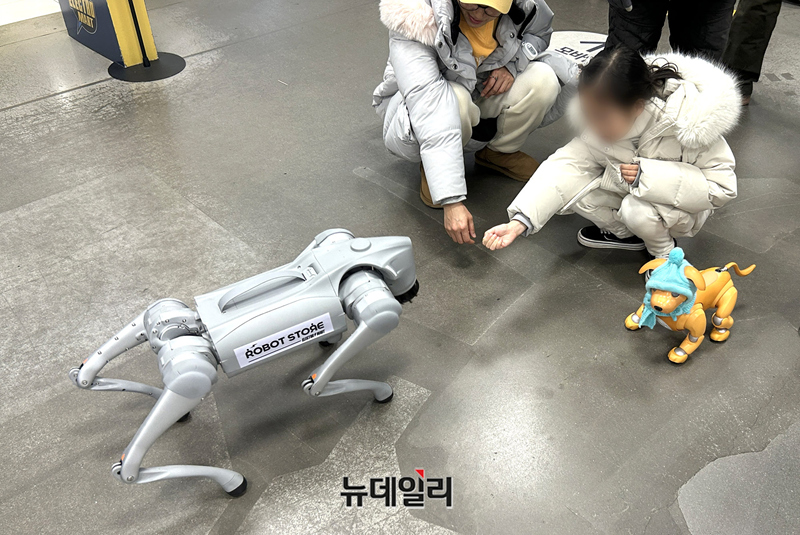 ▲ 판매 중인 유니트리 'Go2'와 고객이 직접 가져온 소니 '아이보'를 만지는 아이.ⓒ김수한 기자