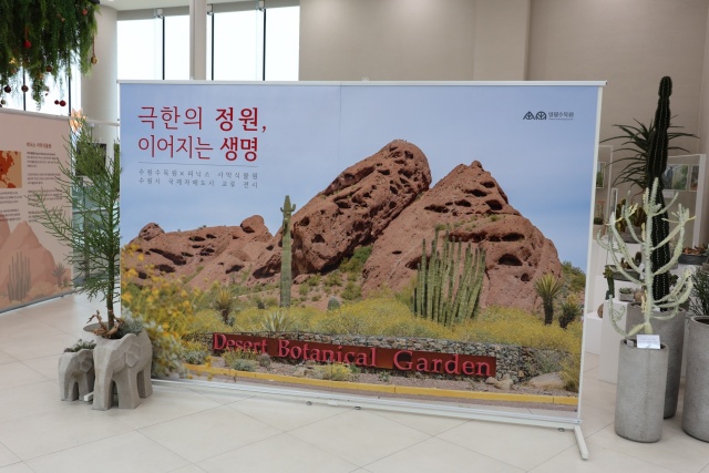 ▲ 일월수목원에 전시중인 사막식물원. ⓒ수원시 제공