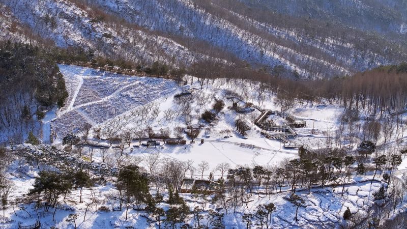 ▲ 눈 덮인 영인산 수목원의 산책로.ⓒ아산시