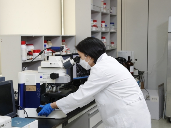 ▲ 특허 유산균 ‘HY2782’ 포스트바이오틱스 효과 국제학술지 게재ⓒhy