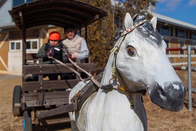 ▲ 어린이들에게도 최적 ‘화성 궁평캠프’ ⓒ경기관광공사 제공