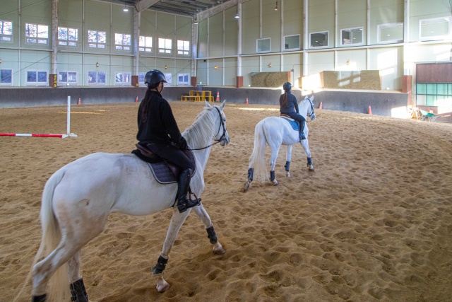 ▲ 서울에서 차량으로 불과 50분 ‘양평 골든쌔들 승마클럽’ ⓒ경기관광공사 제공