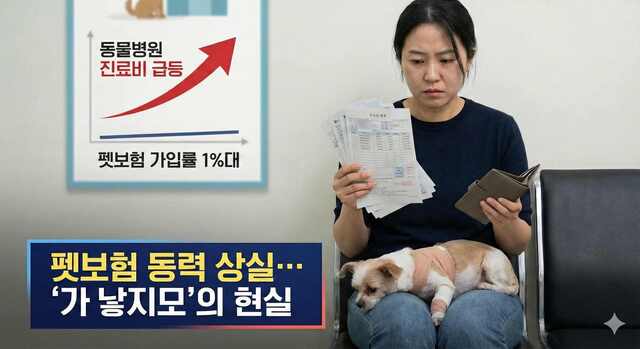 ▲ 반려동물(펫)보험이 동력을 잃으면서 '가낳지모'가 1500만 반려인들의 현실이 되고 있다. ⓒ제미나이