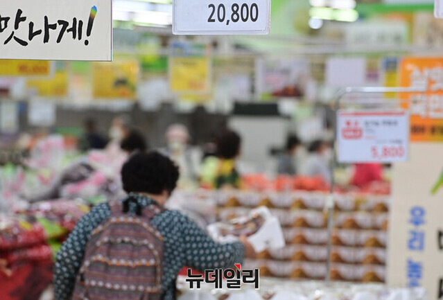 ▲ ⓒ뉴데일리 DB