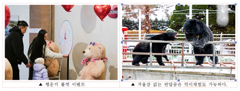 ▲ ⓒ베어트리파크