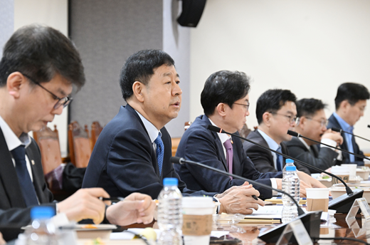 ▲ 구윤철 부총리 겸 재정경제부 장관이 13일 서울 중구 은행연합회에서 열린 시장상황 점검회의를 주재하고 있다. ⓒ연합뉴스