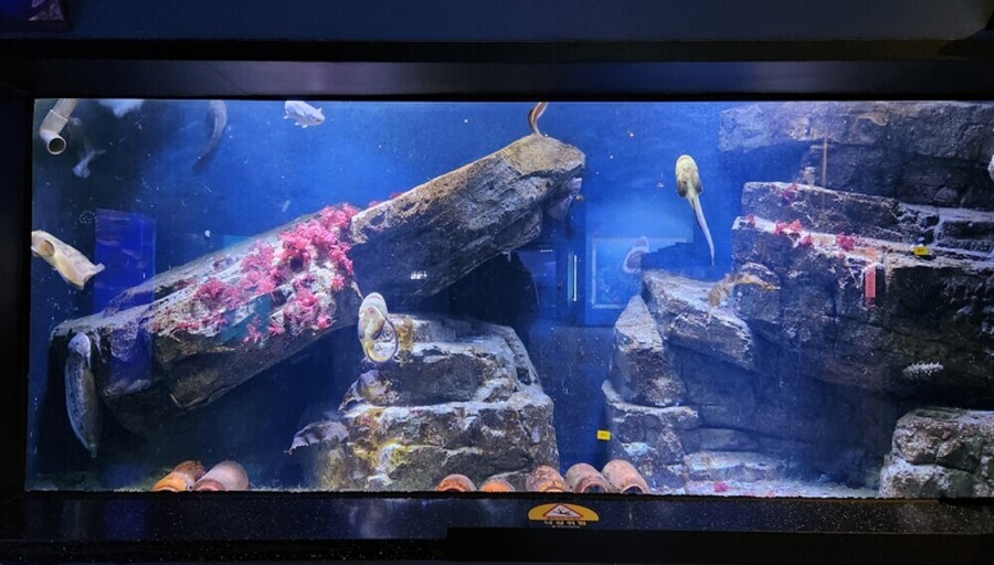 전남해양수산과학관·섬진강어류생태관, 설 연휴에도 개관