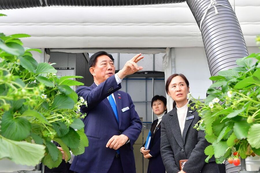 ▲ 김한종 장성군수 민생 현장을 찾았다.ⓒ장성군 제공