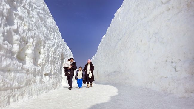 ▲ 15일 설연휴를 맞아 평창군 대관령면 횡계리 송천 일대 축제장에서 열린 제34회 평창 대관령눈꽃축제를 찾은 방문객들이 눈빙벽을 즐기고 있다. ⓒ평창관광문화재단