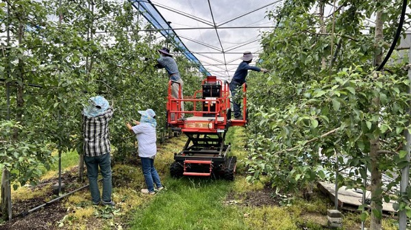▲ 증평군,  '증평형일손더하기' 현장