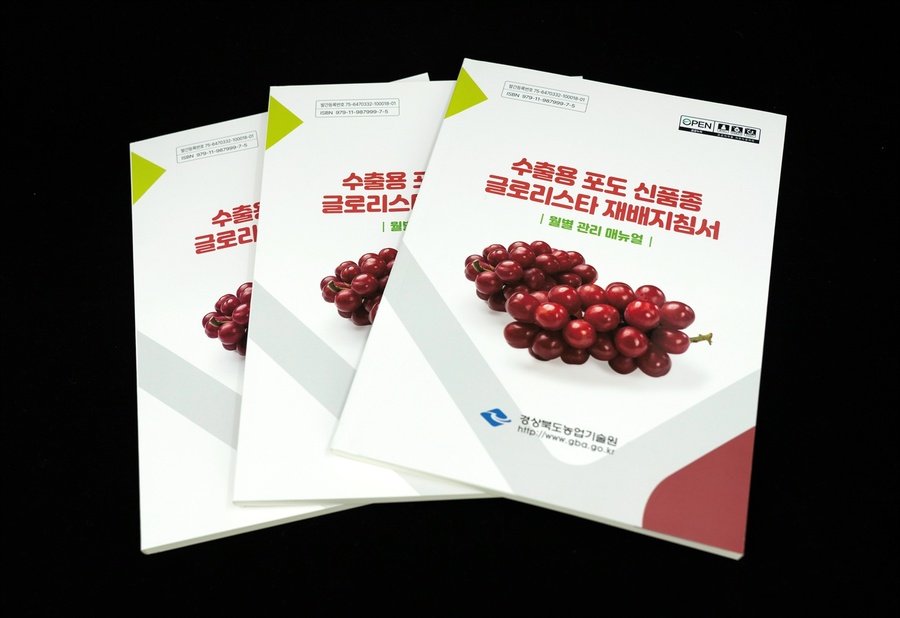 ▲ 경상북도농업기술원이 기후변화에 강하고 동남아시아 수출에 특화된 붉은색 신품종 포도 ‘글로리스타(Glory Star)’의 안정적인 현장 정착을 돕기 위한 종합 가이드라인을 내놨다.ⓒ경북농업기술원