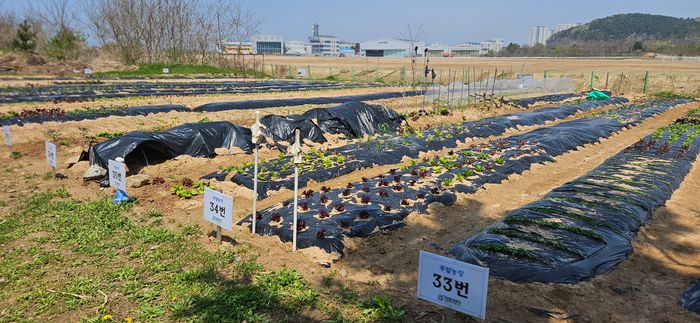 ▲ 인천환경공단 운북사업소 친환경 주밀농장 전경 ⓒ인천환경공단 제공