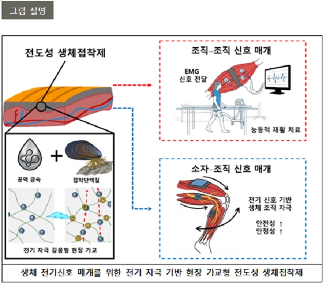 ▲ 연구 관련 그림.ⓒ포스텍