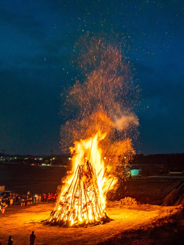 ▲ 2025년 달맞이 축제 장면(자료사진)ⓒ평택시 제공