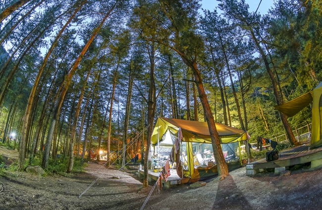 ▲ 무릉힐링캠핑장. ⓒ동해시