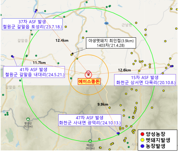 ▲ 철원군 아프리카돼지열병 발생 현황. ⓒ강원특별자치도