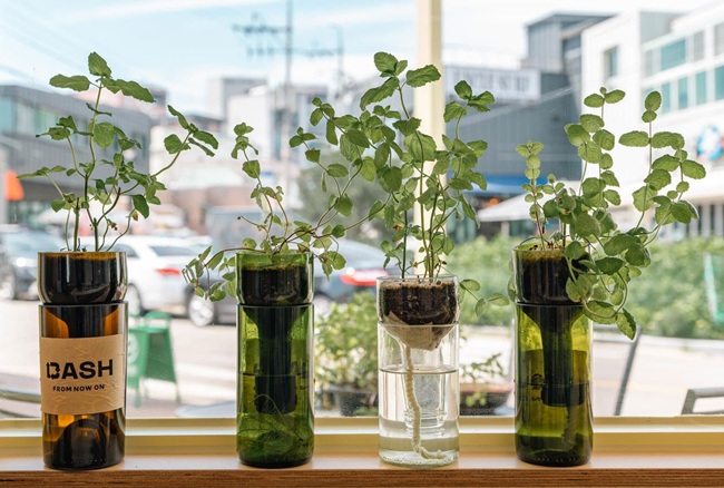 ▲ 새활용센터 허브보틀 반려식물 화분. ⓒ양양군