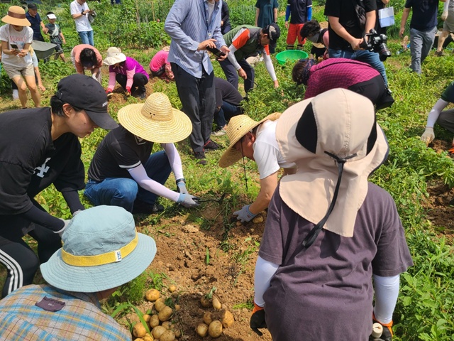 ▲ 경기도농수산진흥원 '경기도민텃밭'. ⓒ경기도농수산진흥원 제공