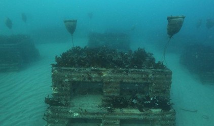 ▲ 모조주머니 설치 모습. ⓒ삼척시