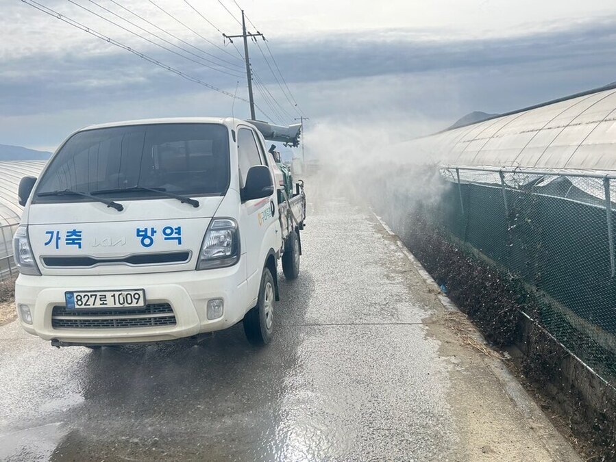 ▲ 방역현장ⓒ전라남도 제공