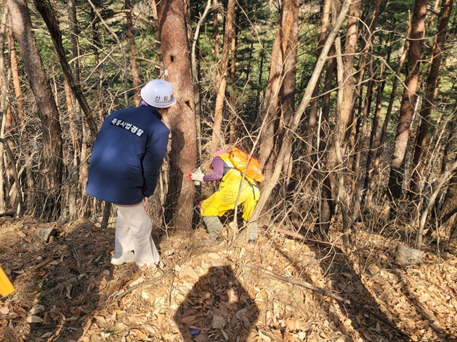 동부지방산림청, 10억 투입해 소나무재선충병 방제사업 본격 추진