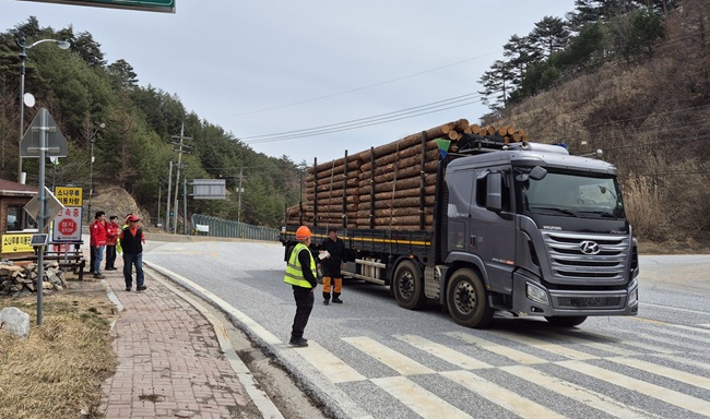▲ 소나무 이동단속 장면. ⓒ동부지방산림청