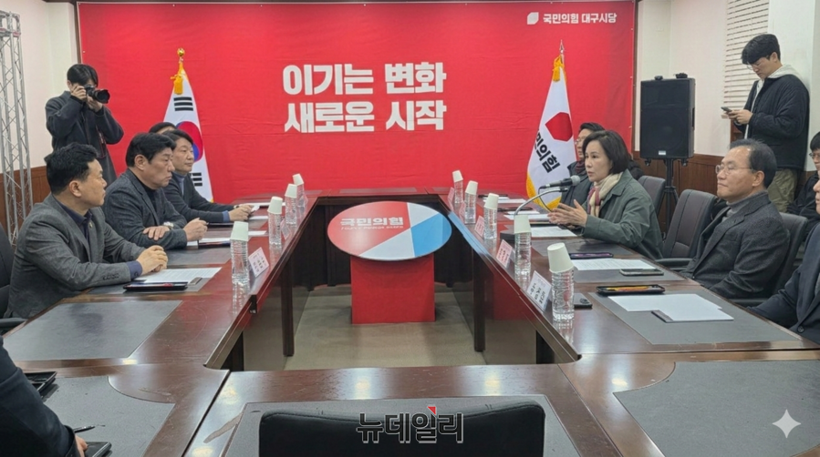 ▲ 초광역 국가 균형발전의 핵심인 대구·경북 행정통합 특별법이 더불어민주당의 반대로 국회 법제사법위원회에 발목이 잡히자, 지역 야당 국회의원들이 일제히 강력한 대야 투쟁을 선언했다.ⓒ뉴데일리