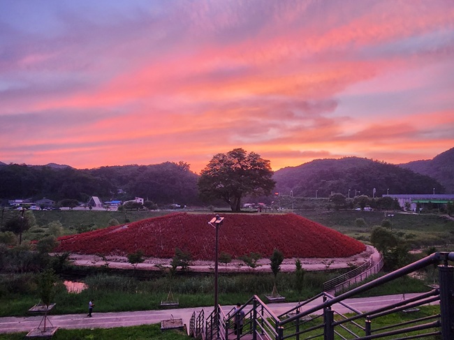 ▲ 영월 청령포원 모습. ⓒ영월군