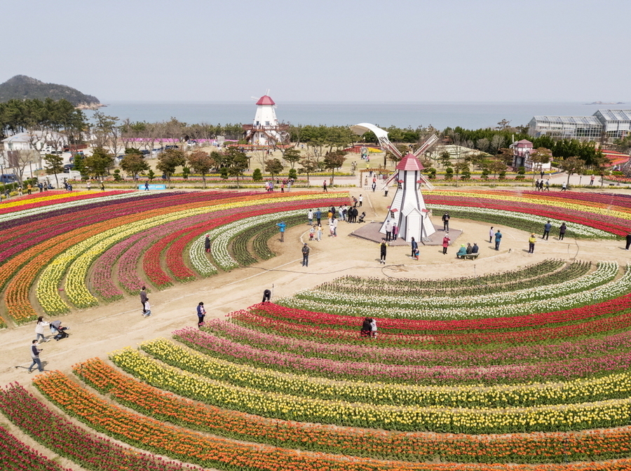 남도한바퀴, 3월부터 꽃내음 가득 봄 여행코스 운영