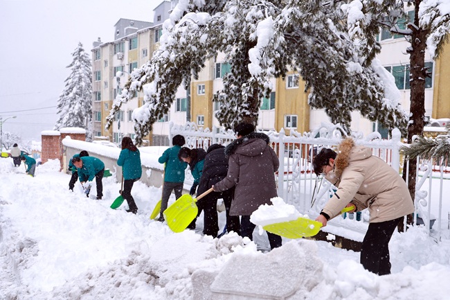 ▲ 태백시가 폭설에 대응해 전 공무원을 현장에 투입, 시민 안전 확보와 보행·차량 통행 불편 최소화를 위한 긴급 제설작업에 총력을 기울였다. ⓒ태백시