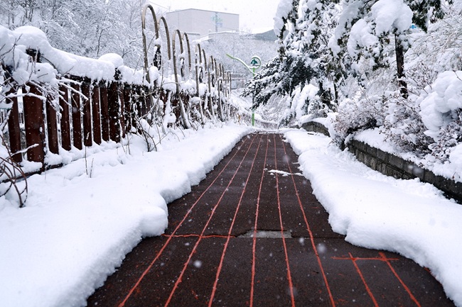 ▲ 열선이 설치된 구간은 적설 직후에도 눈이 빠르게 녹아 보행로가 신속히 확보됐다. ⓒ태백시