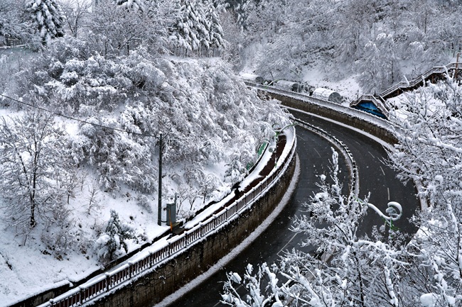 ▲ 태백시가 폭설에 대응해 전 공무원을 현장에 투입, 시민 안전 확보와 보행·차량 통행 불편 최소화를 위한 긴급 제설작업에 총력을 기울였다. ⓒ태백시