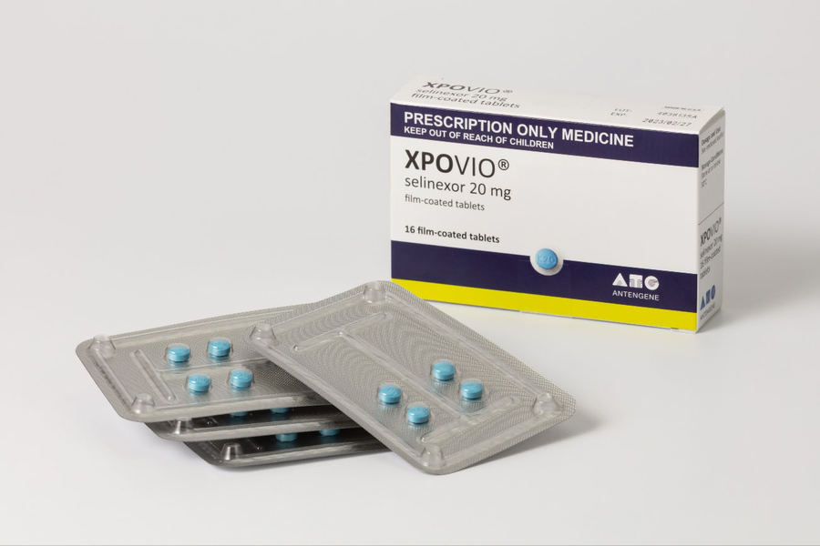 ▲ 혈액암 신약 '엑스포비오'. ⓒ보령