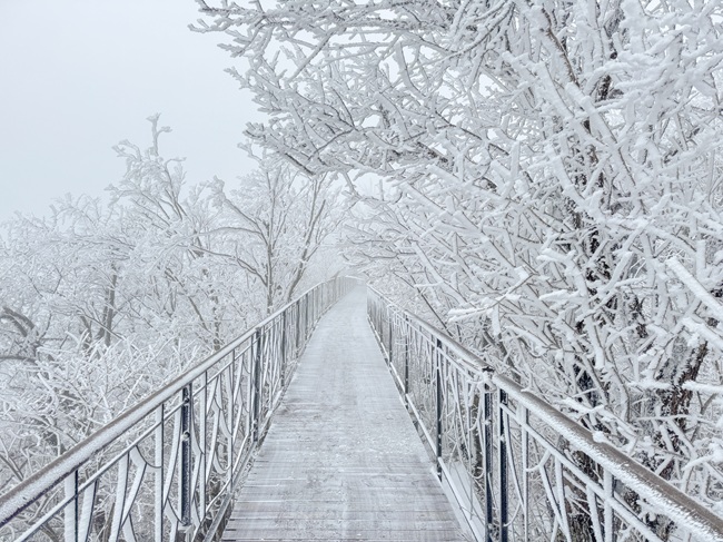 ▲ 발왕산 상고대 모습. ⓒ모나용평