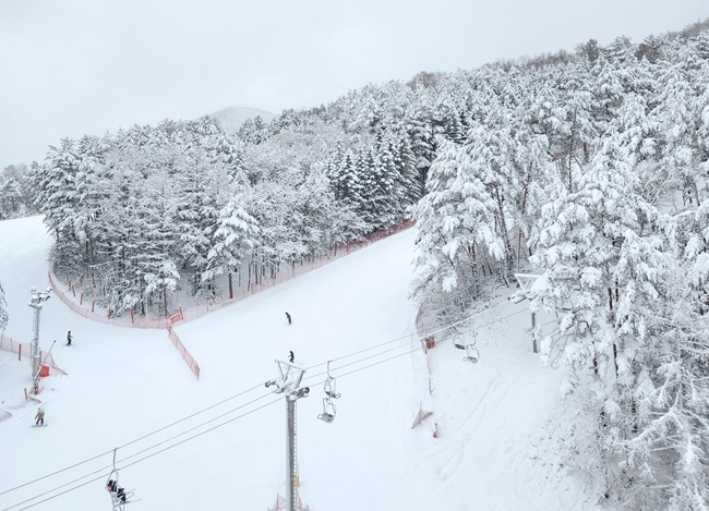 ▲ 대설로 눈덮인 모나용평 스키장 모습. ⓒ모나용평