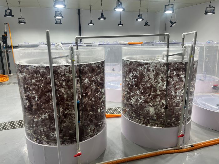 ▲ 김 육상양식 모습.ⓒ충남도