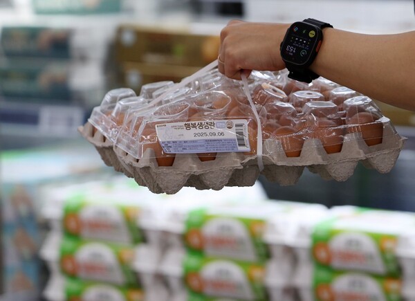 ▲ 서울의 한 대형마트에서 시민이 계란을 구매하고 있다.ⓒ뉴시스