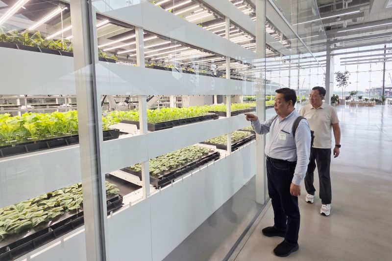 ▲ 지난 5일  가세로 태안군수가 싱가포르 견학 대상지를 방문해 시설을 살펴보고 있다.ⓒ태안군