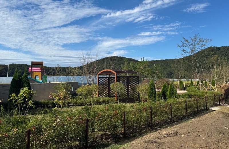 ▲ 양촌어린이집 나눔숲 모습.ⓒ논산시