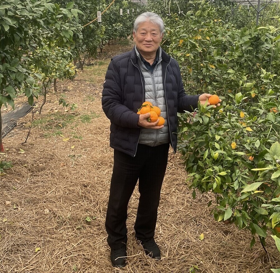 ▲ 친환경농산물 선정 농가 (김옥환 올바른 농원 대표)ⓒ전라남도 제공