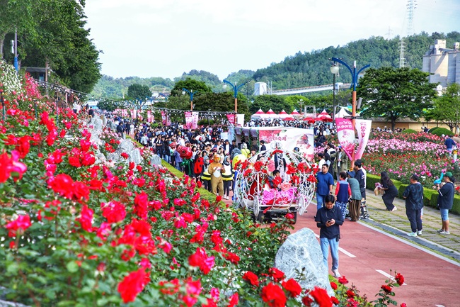 ▲ 지난해 열린 삼척장미축제 모습. ⓒ삼척시