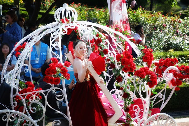 ▲ 지난해 열린 삼척장미축제 모습. ⓒ삼척시