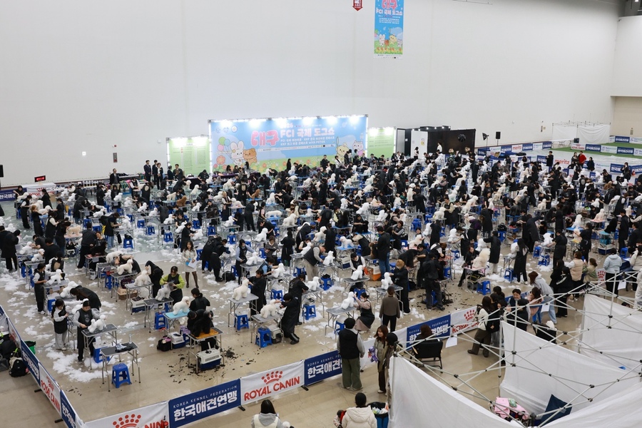 ▲ ‘핸들러 자격검정 및 콘테스트’, ‘위그 미용대회’가 동시에 열렸다.ⓒ엑스코