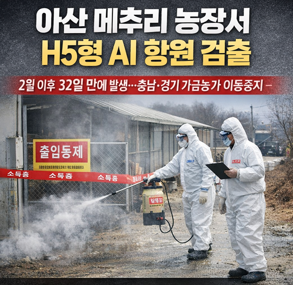 ▲ ⓒ쳇gpt 생산한 이미지.