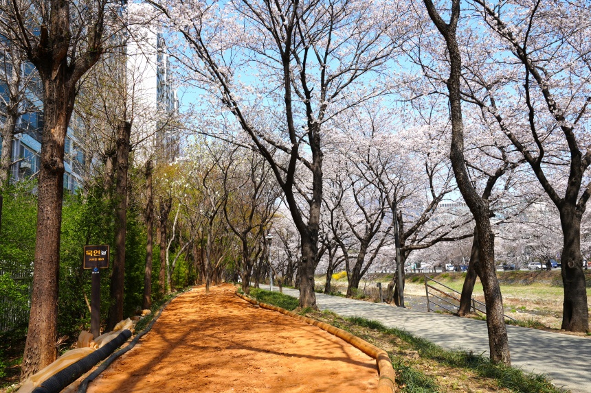 하남시, 관내 맨발길 25곳 전격 개장