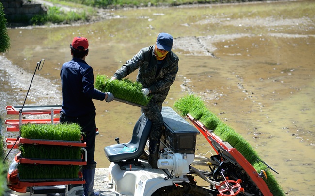 ▲ 화천군 농업기술센터의 봄철 영농대행 지원사업 모습. ⓒ화천군