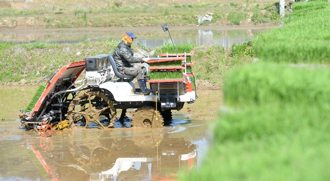 ▲ 화천군 농업기술센터의 봄철 영농대행 지원사업 모습. ⓒ화천군