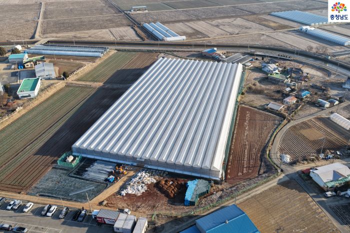 ▲ 1만㎡ 규모 딸기 스마트팜 육묘장 모습.ⓒ충남도