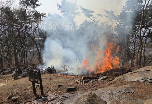 ▲ 수원시 팔달산 팔달공원에서 발생한 화재 현장. ⓒ경기소방재난본부 제공