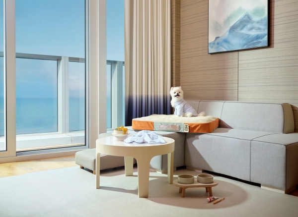 [Weekly New호텔] 봄에는 떠나야지, ‘펫캉스’ 요모조모